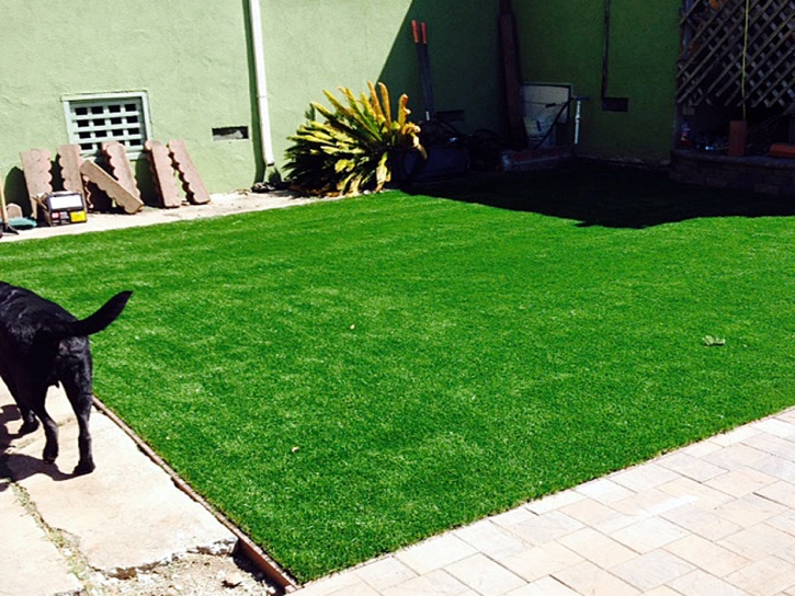 Synthetic Turf Supplier Villa Heights, Virginia Landscape Ideas, Backyard