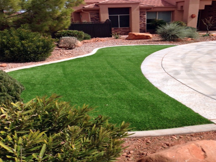 Turf Grass Dublin, Virginia Gardeners, Front Yard Landscape Ideas