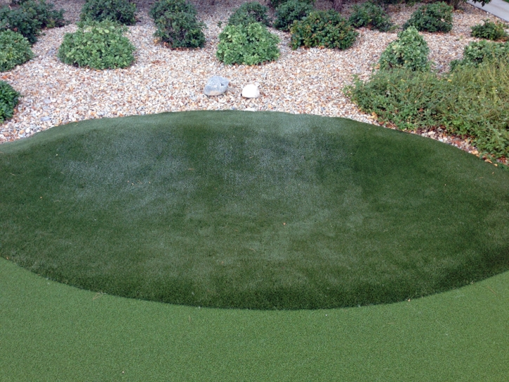 Turf Grass Fancy Gap, Virginia Landscaping Business