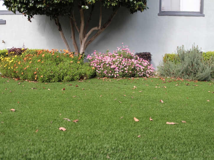 Turf Grass Hillsville, Virginia Backyard Playground, Front Yard Design