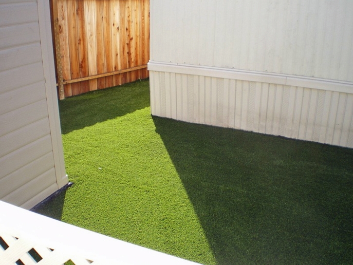 Turf Grass Newington, Virginia Grass For Dogs, Backyard Landscaping