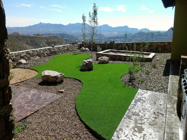 Turf Grass Ruckersville, Virginia Dog Pound, Backyard Ideas