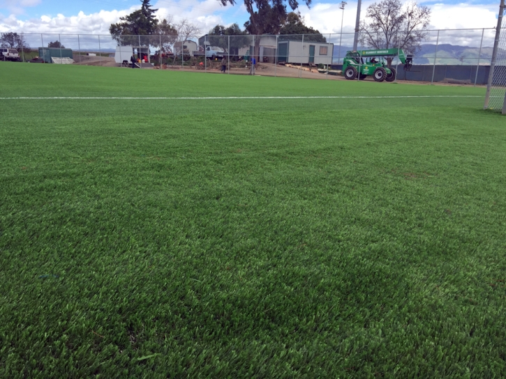 Turf Grass Verona, Virginia Stadium