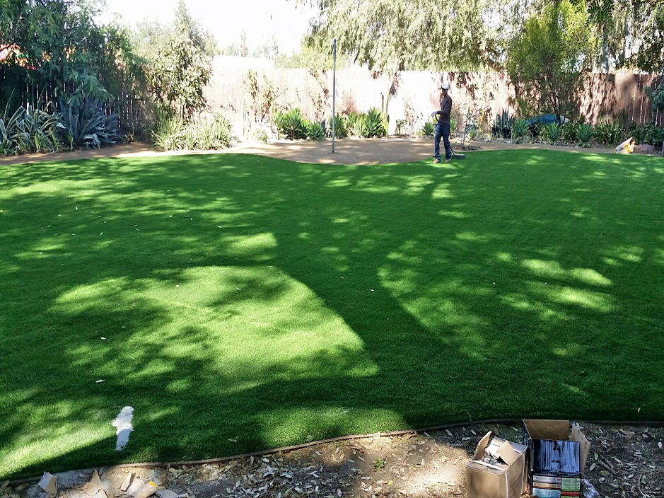 Artificial Turf Cost Accomac, Virginia Garden Ideas, Backyards