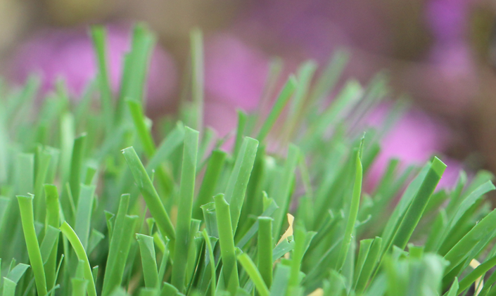 Artificial Grass Emerald-52 Artificial Grass Virginia