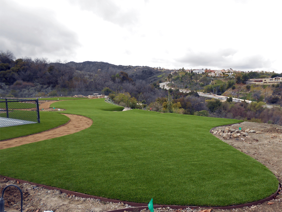 Fake Grass Carpet Central Garage, Virginia Landscaping Business