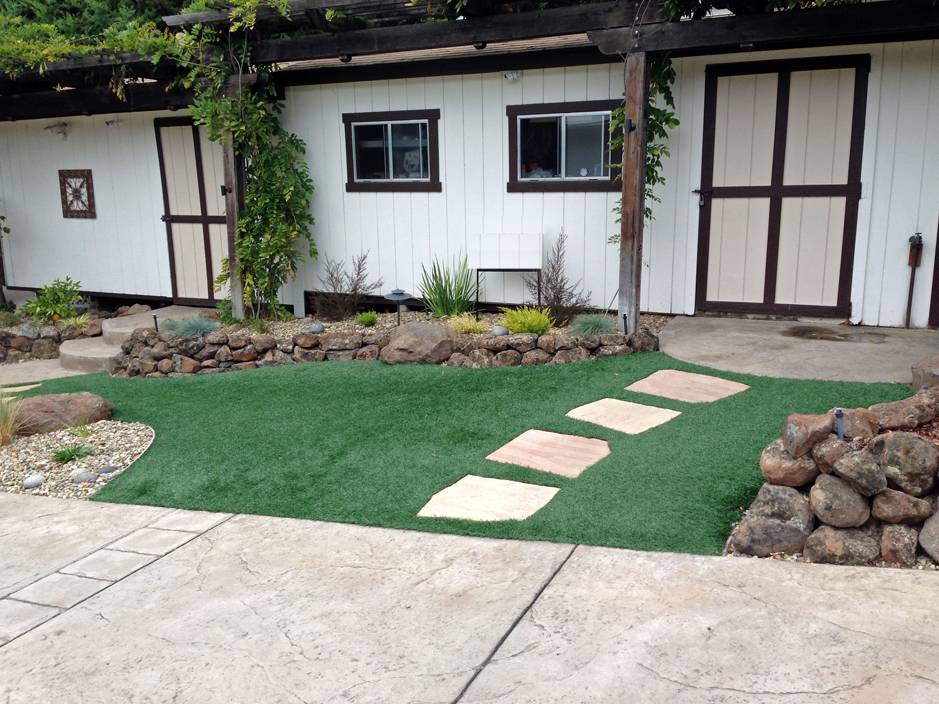 Fake Grass Carpet Tasley, Virginia Roof Top, Front Yard Landscaping Ideas