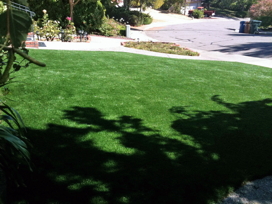 Fake Grass The Plains, Virginia Lawn And Landscape, Front Yard Design