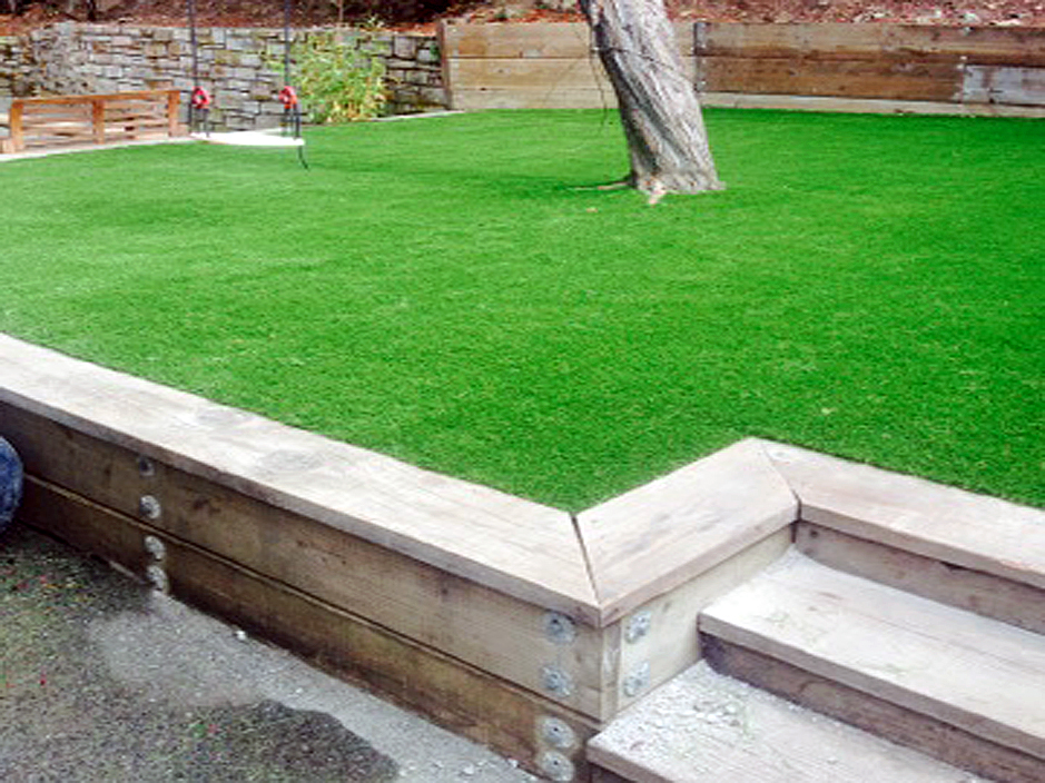 Faux Grass Arrington, Virginia Landscape Ideas, Backyard Design