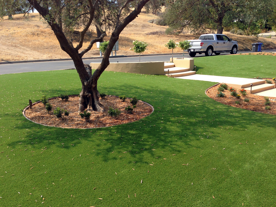 Grass Carpet Edinburg, Virginia Rooftop, Front Yard