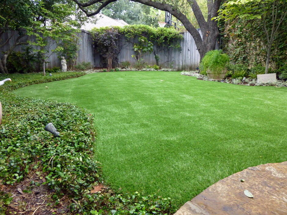 Grass Installation Chase City, Virginia Rooftop, Backyard Ideas
