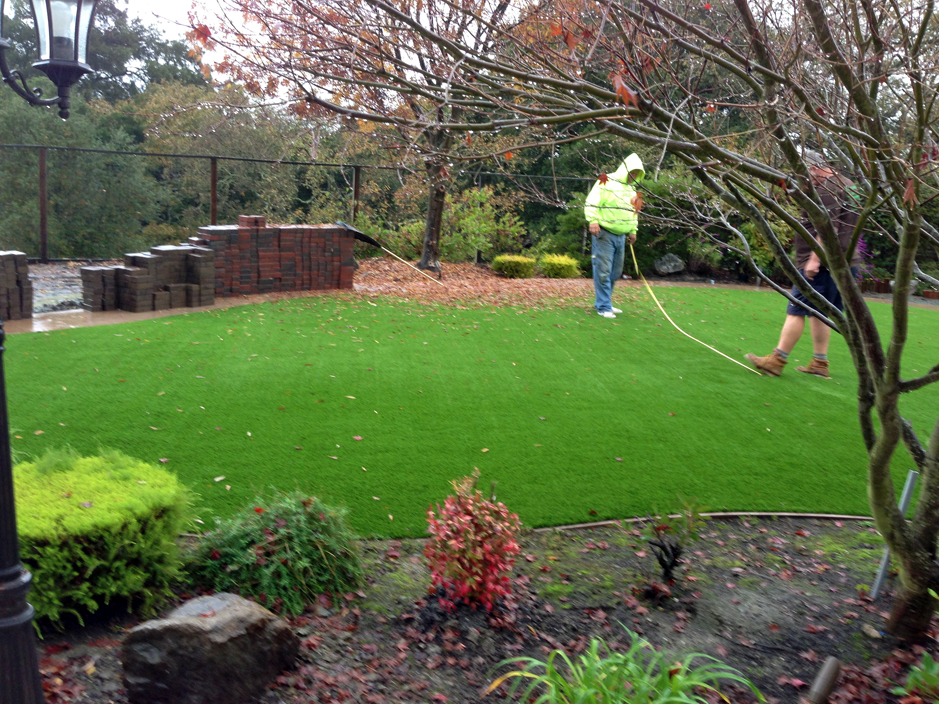 Grass Installation Greenbush, Virginia Backyard Deck Ideas, Backyards