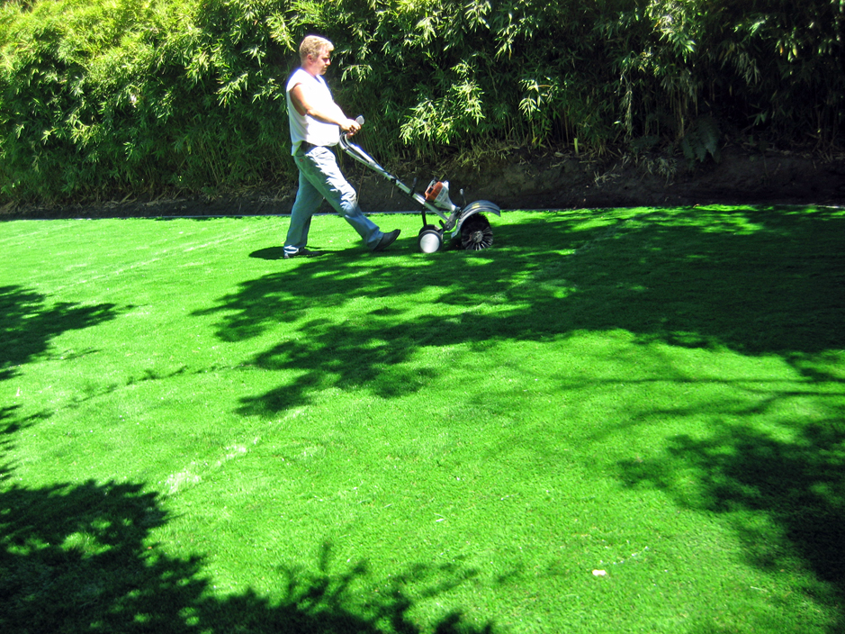 Lawn Services Wachapreague, Virginia Lawn And Landscape, Backyards