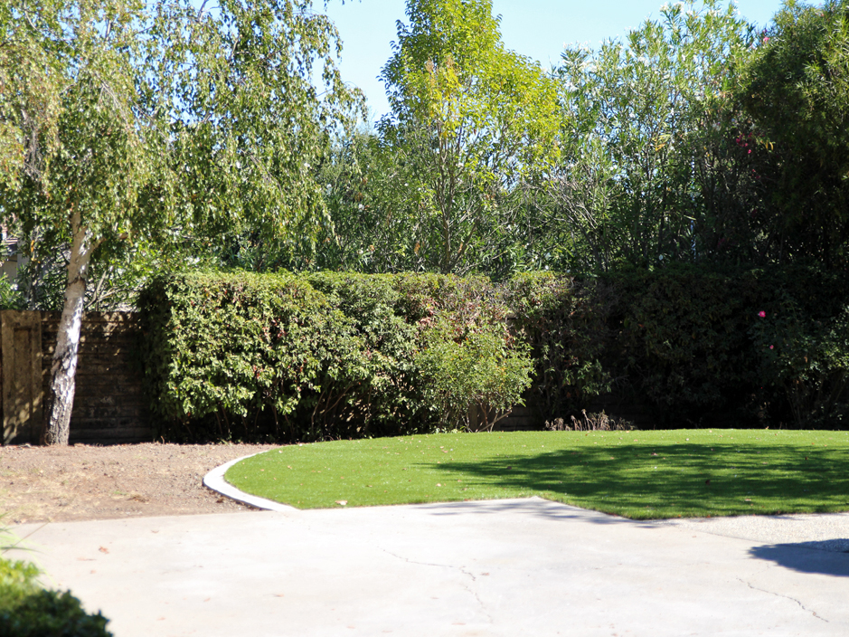 Synthetic Grass Cost Urbanna, Virginia Design Ideas, Backyard Ideas