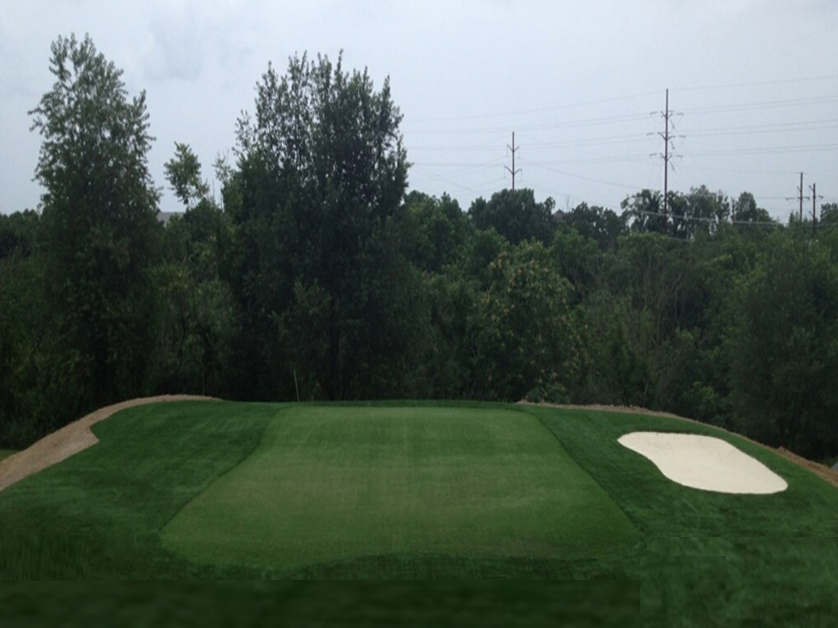 Synthetic Grass Daleville, Virginia Indoor Putting Greens, Backyard Makeover