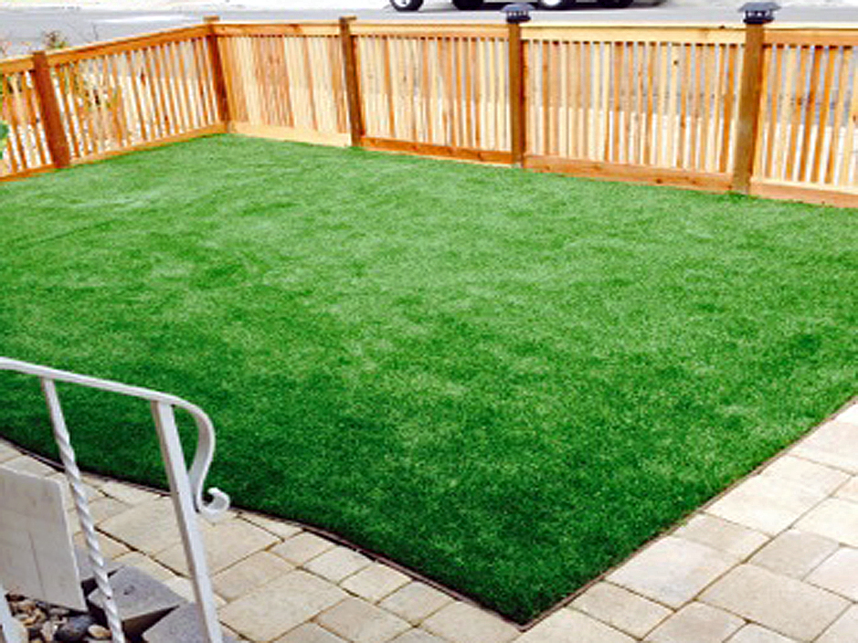 Synthetic Turf Supplier Atlantic, Virginia Design Ideas, Backyard