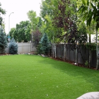 Artificial Grass Carpet North Springfield, Virginia Lawn And Garden, Backyard Landscaping Ideas
