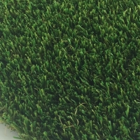 Pet Turf