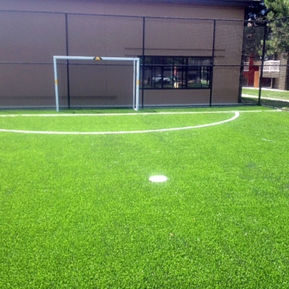 Artificial Grass Portsmouth Heights, Virginia Red Turf