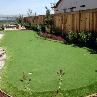 Synthetic Turf Supplier Parksley, Virginia Putting Green, Backyards