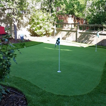 Best Artificial Grass Crozet, Virginia Landscaping, Backyards