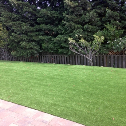 Best Artificial Grass Pocahontas, Virginia Indoor Putting Green, Backyard Landscaping