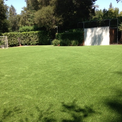 Grass Carpet Dendron, Virginia Softball, Backyard Design