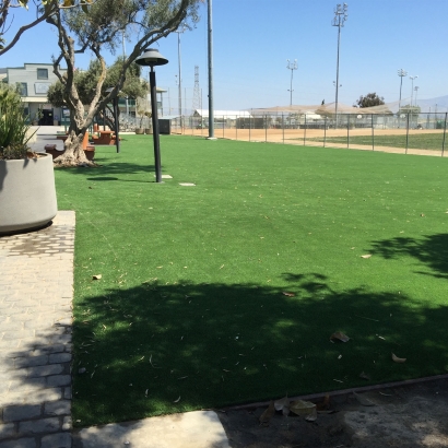 Installing Artificial Grass Hampden Sydney, Virginia Home And Garden, Recreational Areas