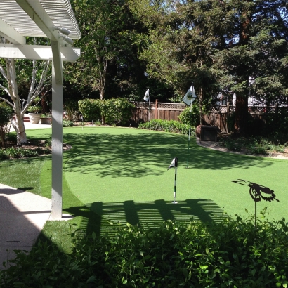 Synthetic Grass Chilhowie, Virginia Lawn And Landscape