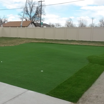 Synthetic Grass Cost Gate City, Virginia Home Putting Green, Backyard Landscape Ideas