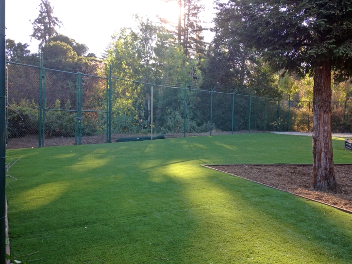 Artificial Grass Carpet Petersburg, Virginia Lawn And Garden, Recreational Areas