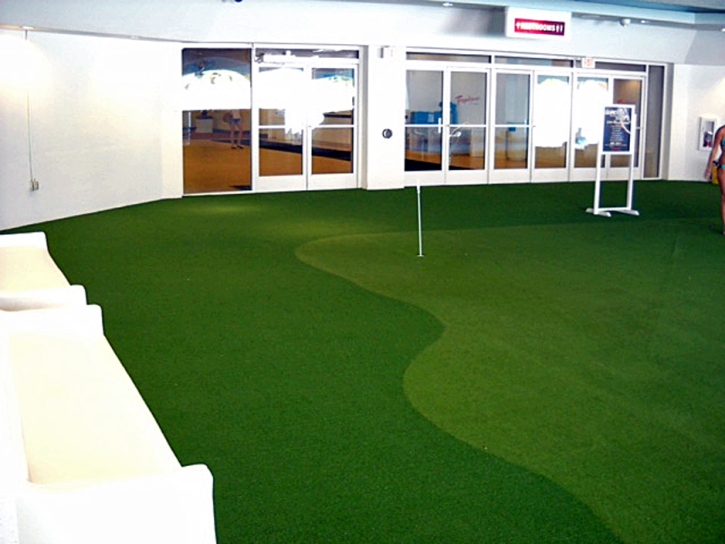 Artificial Turf Cost Alexandria, Virginia Indoor Putting Green, Commercial Landscape