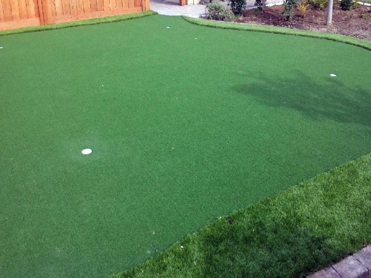 Best Artificial Grass Trout Dale, Virginia Landscaping