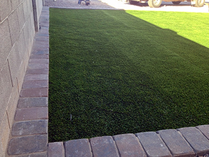 Fake Turf Lexington, Virginia Pictures Of Dogs, Landscaping Ideas For Front Yard