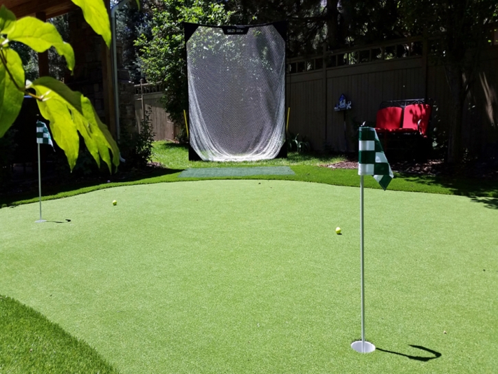 Synthetic Grass Cost Painter, Virginia Putting Green Turf, Backyard Landscaping