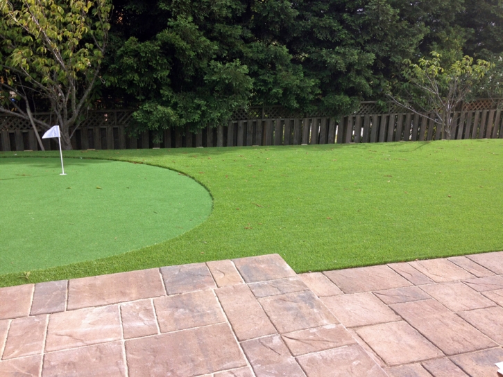 Synthetic Turf Supplier Clinchport, Virginia Best Indoor Putting Green, Backyard Makeover